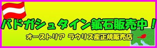 バドガシュタインバナー